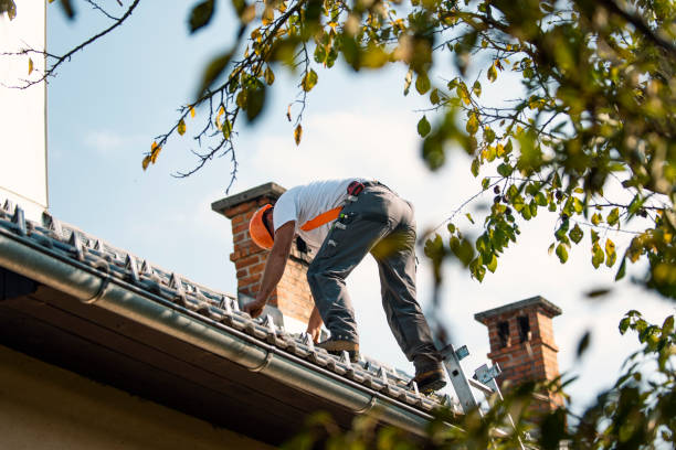 Best Storm Damage Roof Repair  in Palos Park, IL